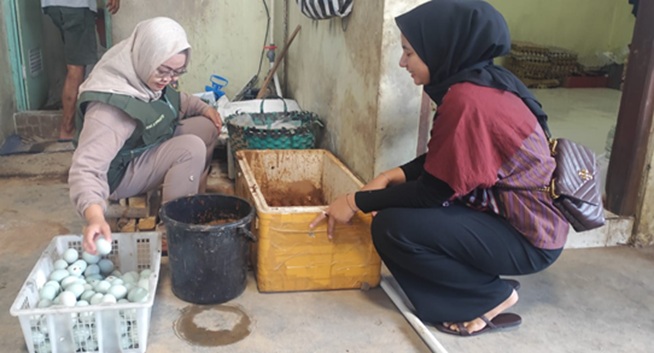 Bukan Sekadar Bisnis, Peternakan Bebek Barata Colomadu Jadi Ladang Berbagi untuk Warga Tidak Mampu
